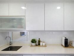 The Canopy (D27), Condominium #557496911